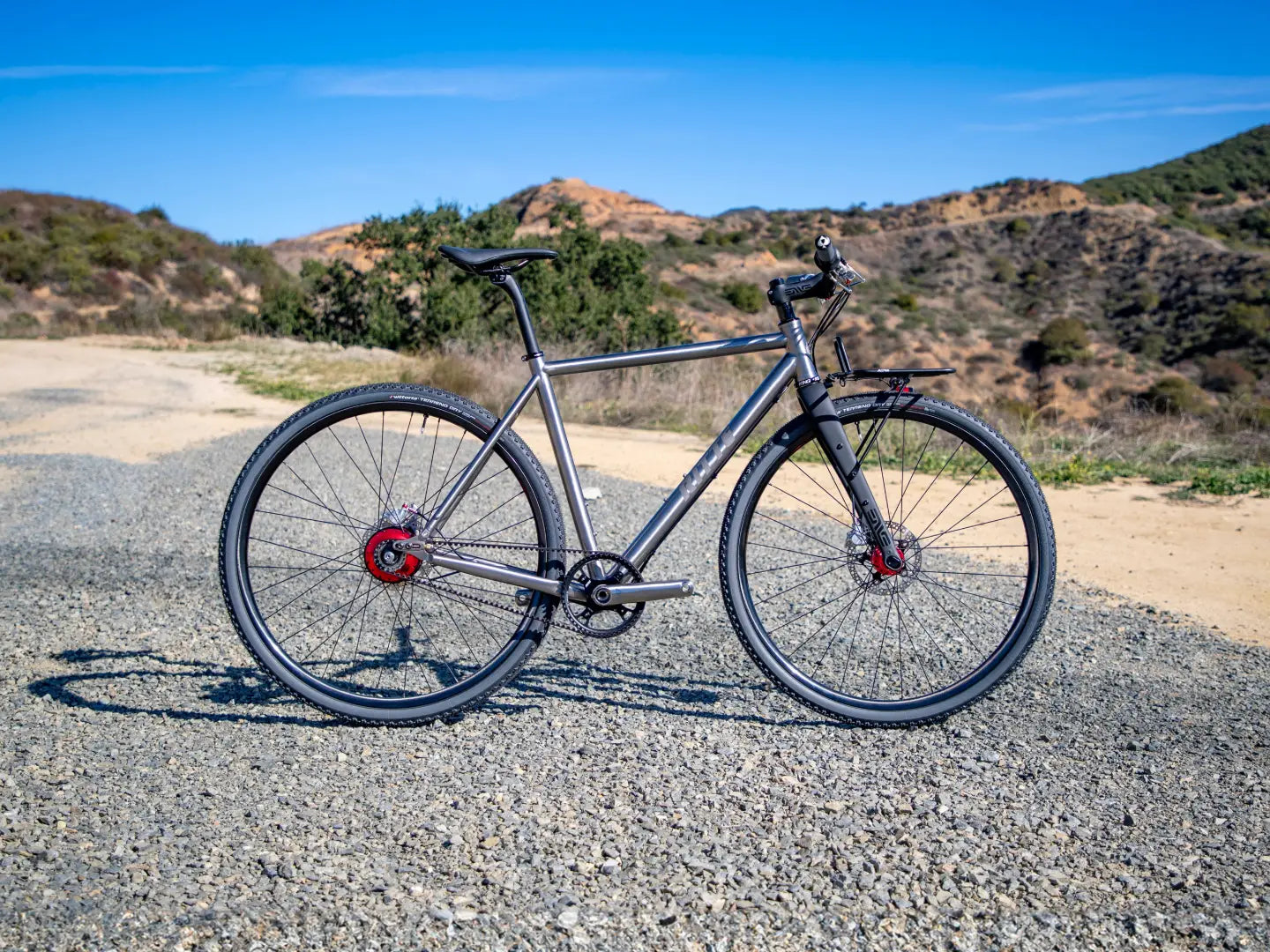 Custom SaTir Ti: Internally Geared Hub