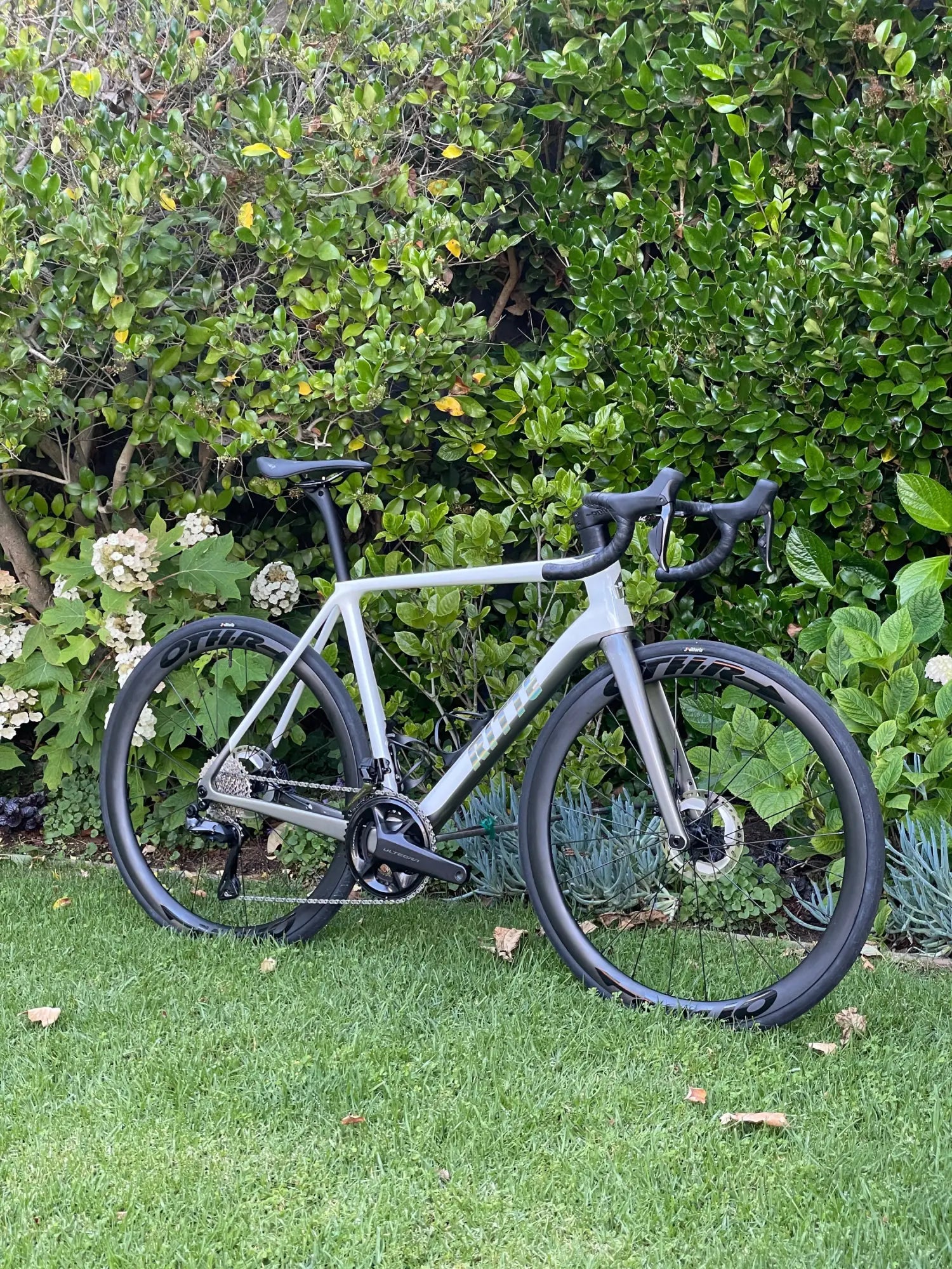 Johnny’s Esprit Review