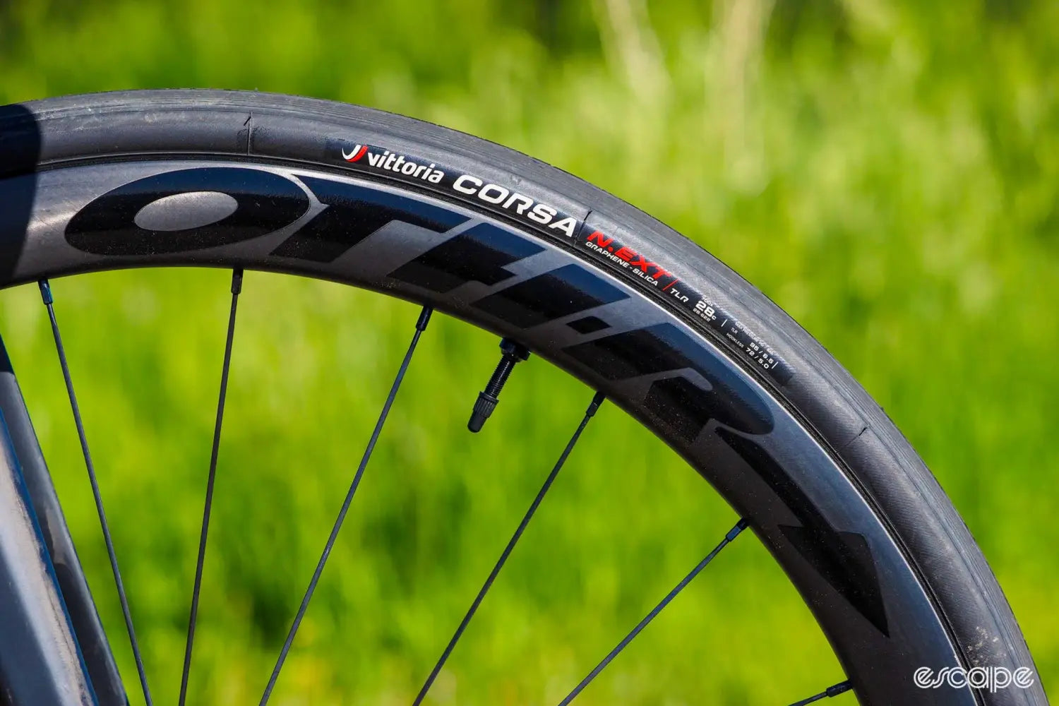 Vittoria Corsa Next tire mounted on Othr Anywhr rim