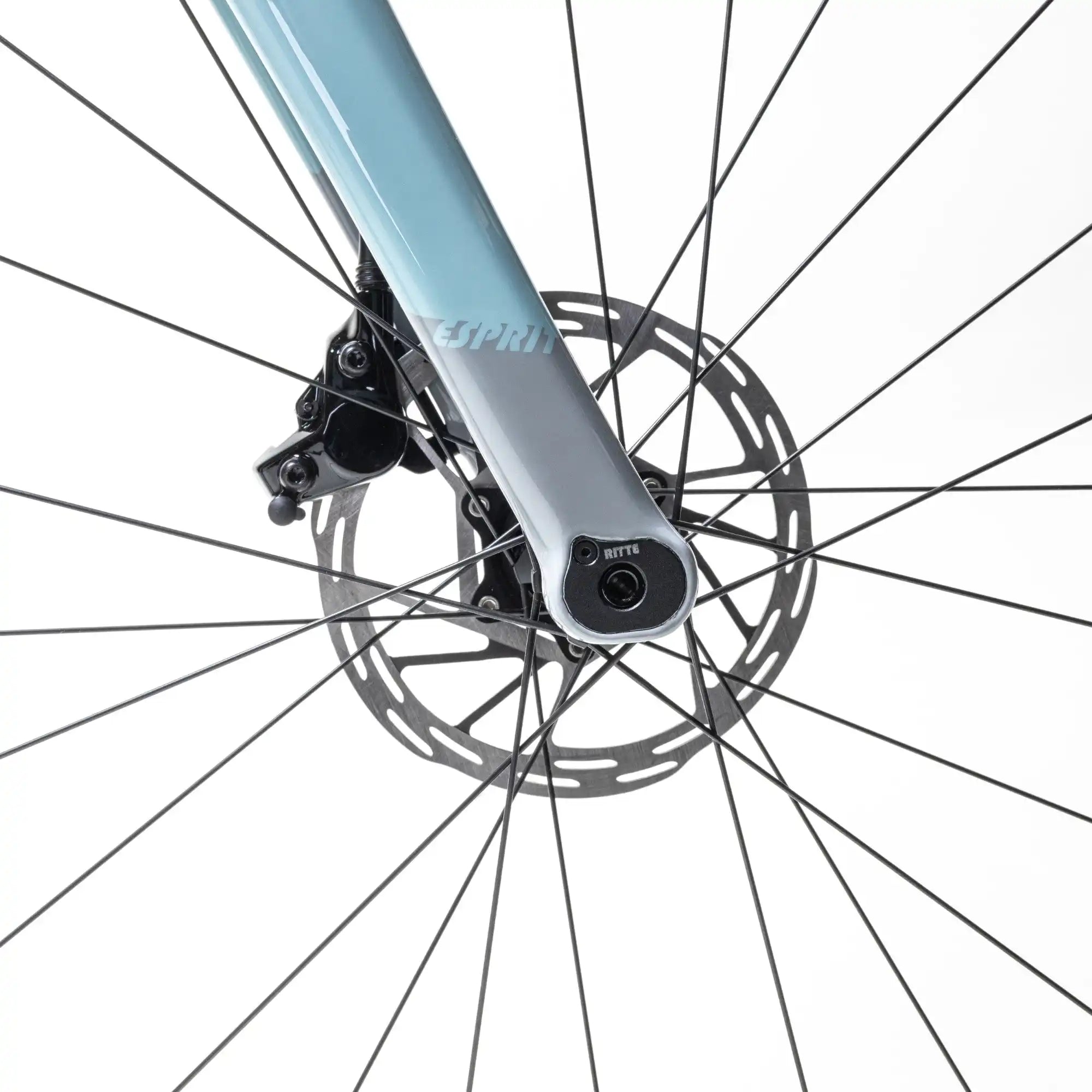 Disc brake rotor and caliper mounted on a bicycle fork with spokes radiating outward.